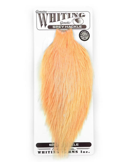 Whiting Spey Hackle Rooster Cape Silver Salmon