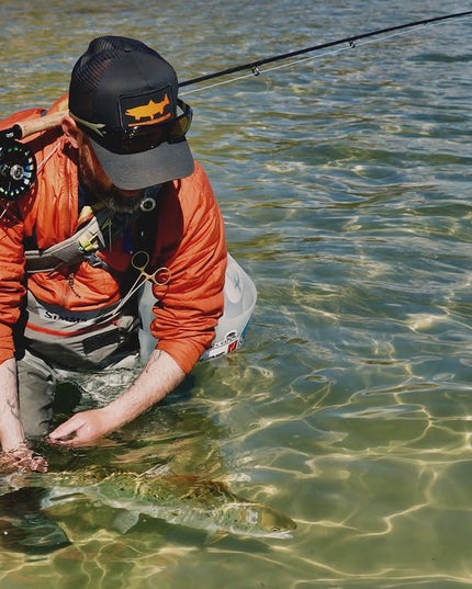 Guidet tur - Denmark Fishing Lodge / 9-11 September 2026