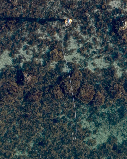 Guidet tur - Denmark Fishing Lodge / 9-11 September 2026