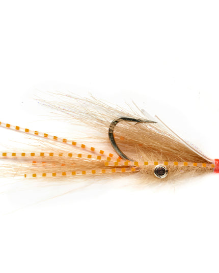Squimp Orange
