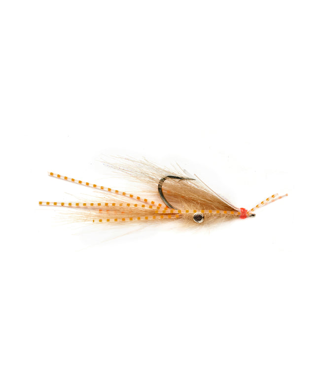Squimp Orange