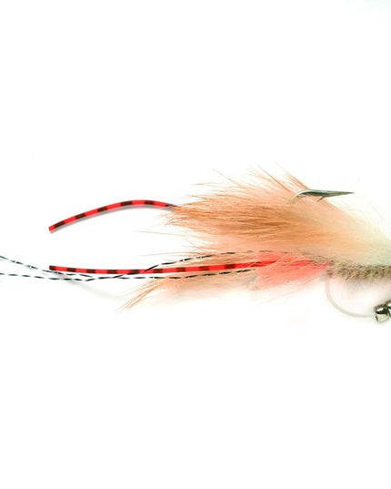 Keel (Avalon) Shrimp