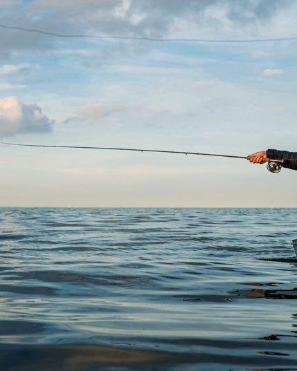 Guidet tur - Denmark Fishing Lodge / 9-11 September 2026