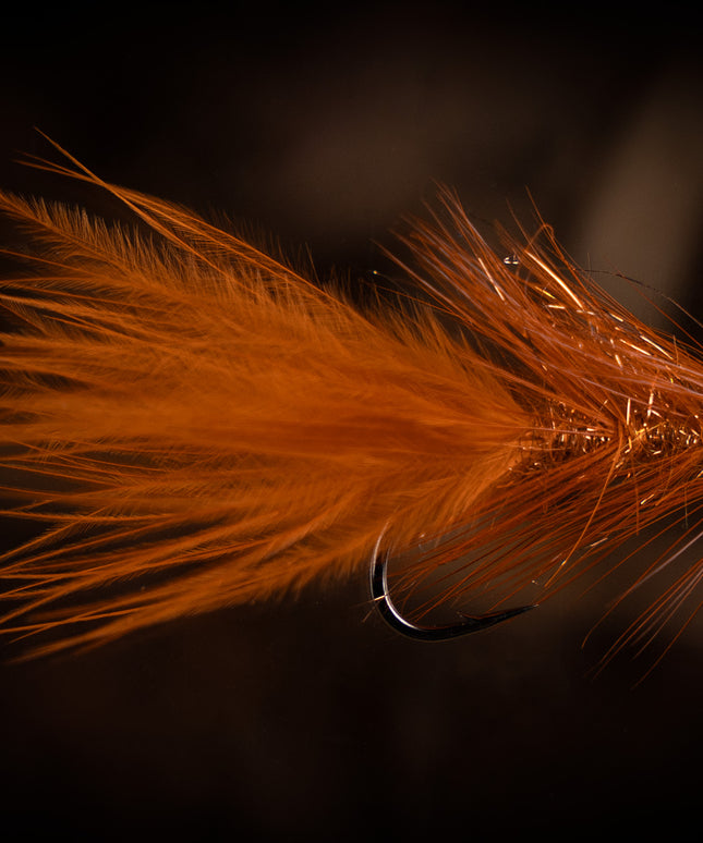 FutureFly Brown Bugger