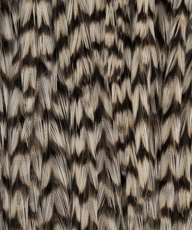 Ewing Hackle - Rooster Cape
