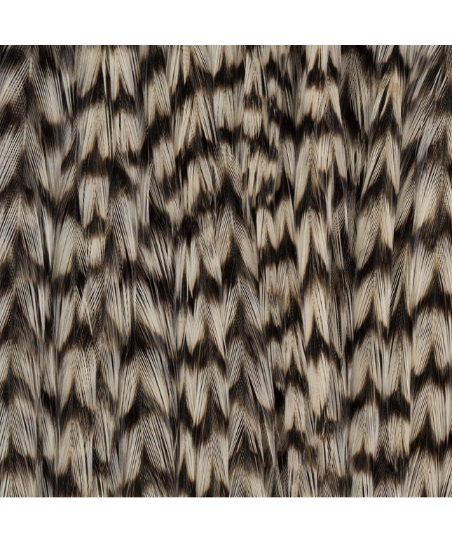 Ewing Hackle - Rooster Cape