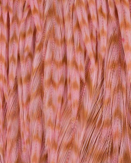 Ewing Hackle - Rooster Cape