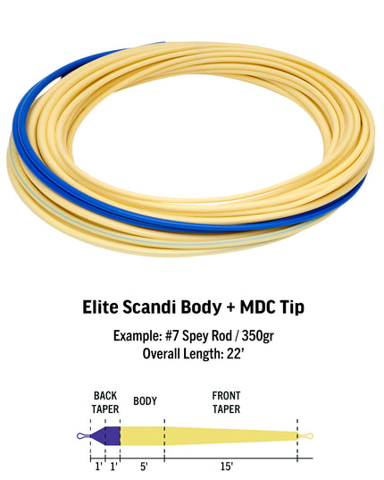Rio Scandi Body - Intermediate/Synke3 (I/S3)