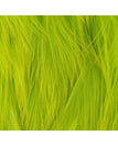 Chartreuse