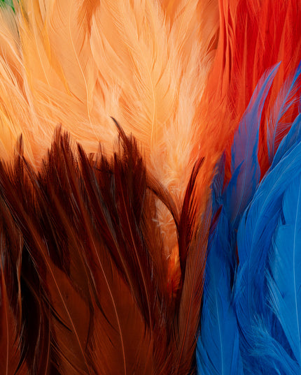 FutureFly Rooster Saddle Feather