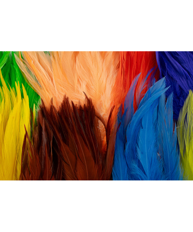 FutureFly Rooster Saddle Feather