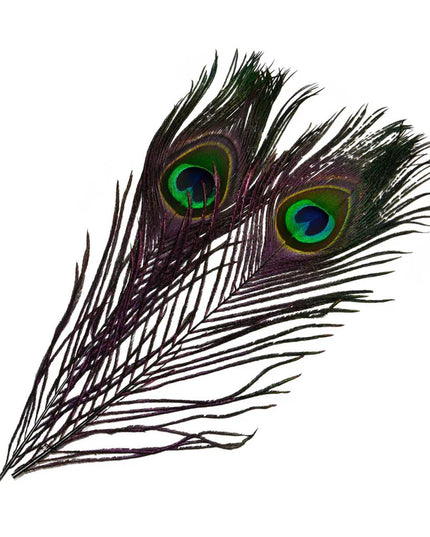 Frödin Flies - SNS Peacock Eye Feathers