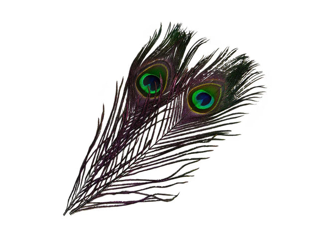 Frödin Flies - SNS Peacock Eye Feathers