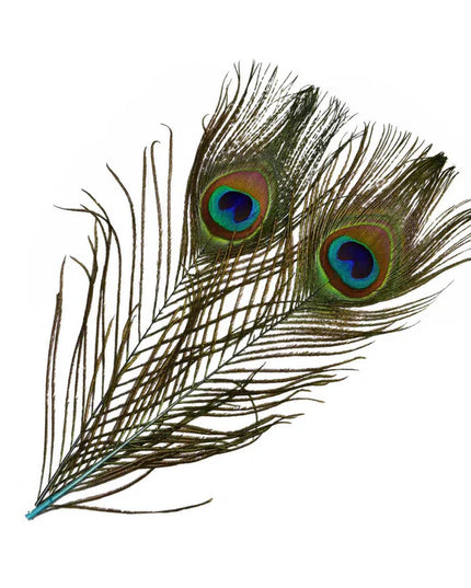 Frödin Flies - SNS Peacock Eye Feathers