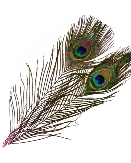 Frödin Flies - SNS Peacock Eye Feathers