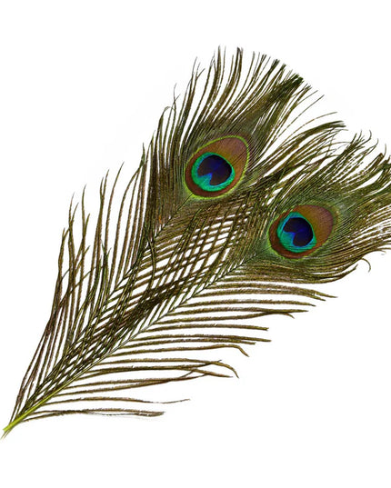 Frödin Flies - SNS Peacock Eye Feathers