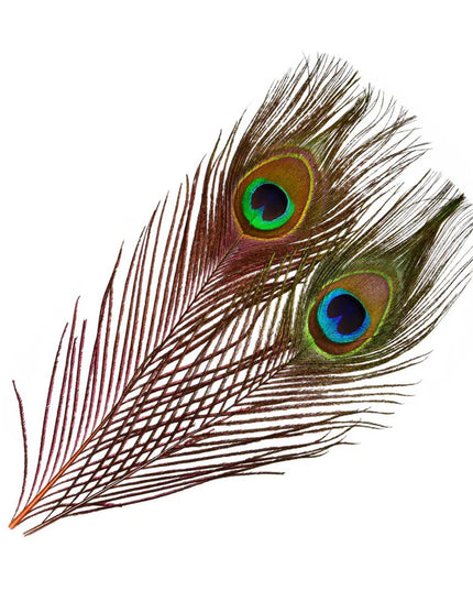 Frödin Flies - SNS Peacock Eye Feathers