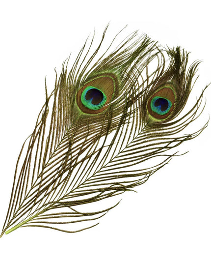 Frödin Flies - SNS Peacock Eye Feathers
