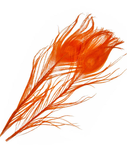 Frödin Flies - SNS Peacock Eye Feathers
