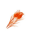 B&D Burnt Orange