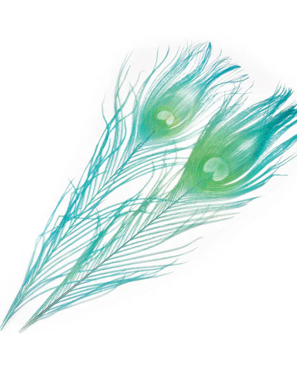 Frödin Flies - SNS Peacock Eye Feathers