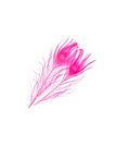 B&D Evil Magenta