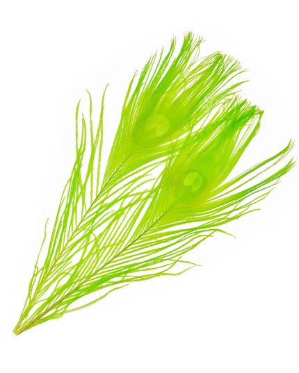 Frödin Flies - SNS Peacock Eye Feathers