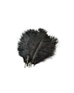 Charcoal Blask