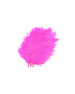 Evil Magenta