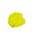Hot Magma Yellow