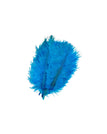 Teal Blue