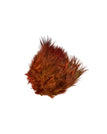 Burnt Orange