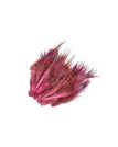 Evil Magenta