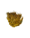 Lion Yellow