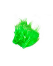 B&D Gaudy Green