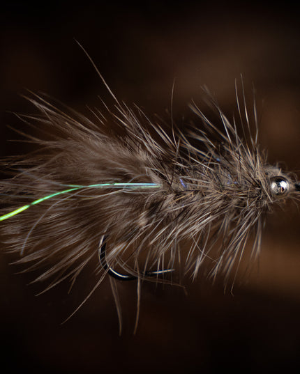 Futurefly Magnus