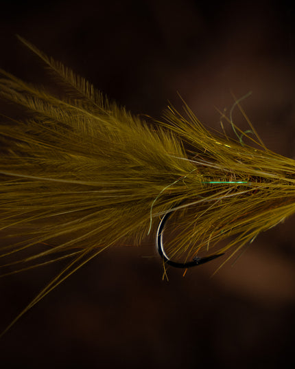 FutureFly Brown Bugger