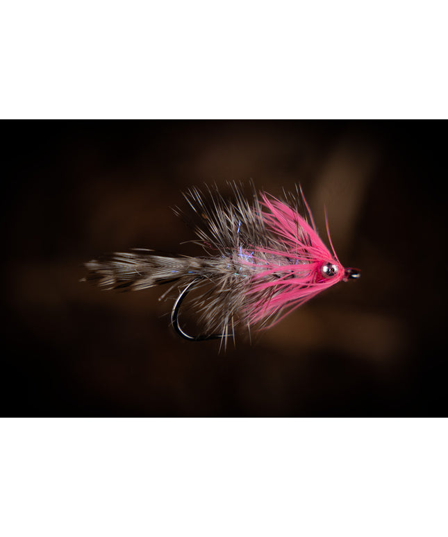 Futurefly Polar Magnus