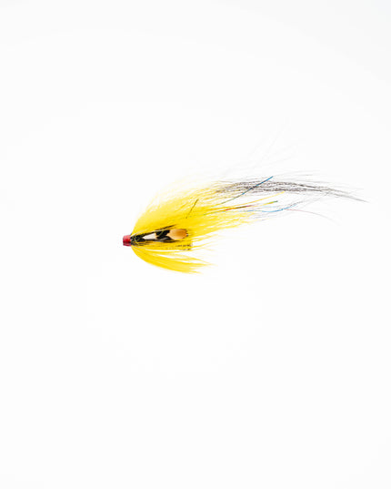 Yellow Yellow