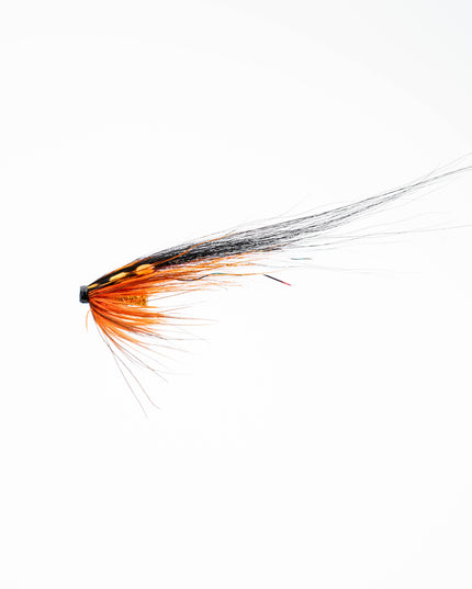 Monkey Black & Orange