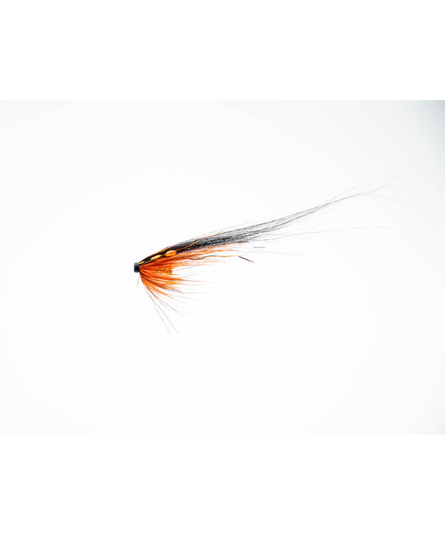 Monkey Black & Orange