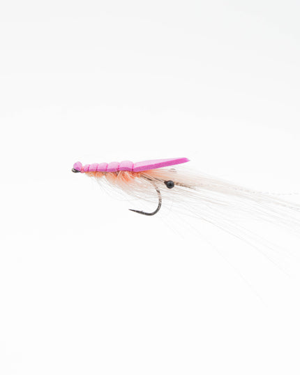 SloMo Shrimp - Salmon