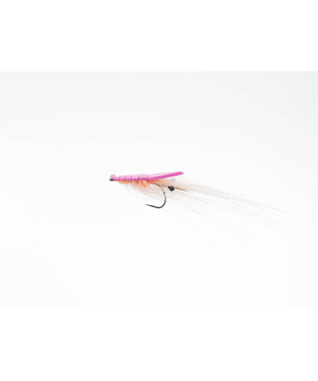 SloMo Shrimp - Salmon