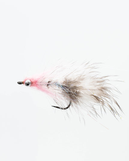 Polar Magnus V2