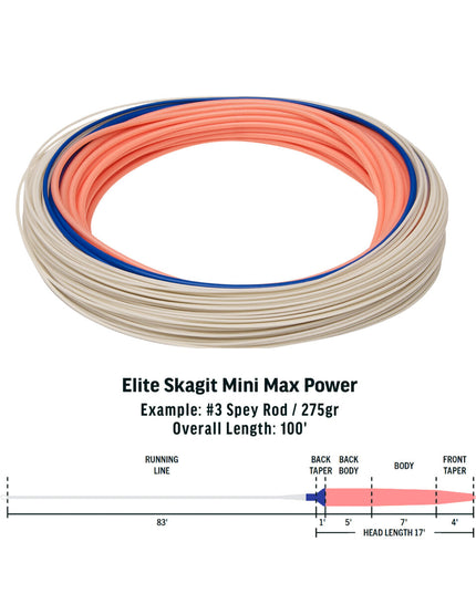 Rio Skagit Integrated Mini Max Power