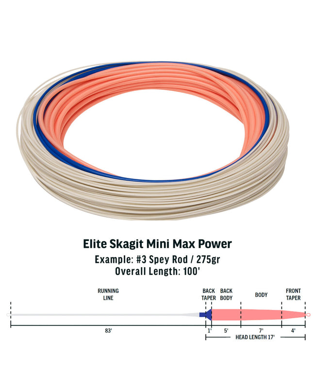 Rio Skagit Integrated Mini Max Power