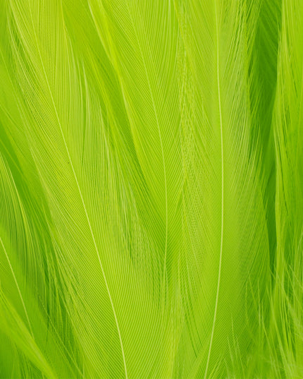 FutureFly Rooster Saddle Feather
