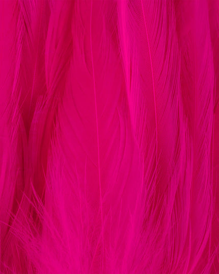 FutureFly Rooster Saddle Feather