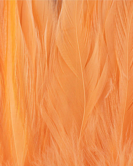 FutureFly Rooster Saddle Feather