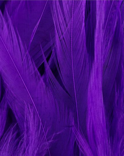 FutureFly Rooster Saddle Feather